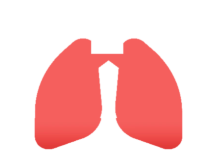 lungs